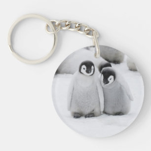 Porte-clefs L'empereur Penguin Chicks sur la glace en Antarcti