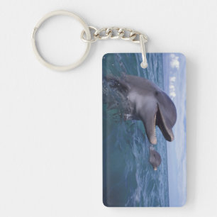 Porte-clefs Les Caraïbe, Tursiops 5 de dauphins de Bottlenose