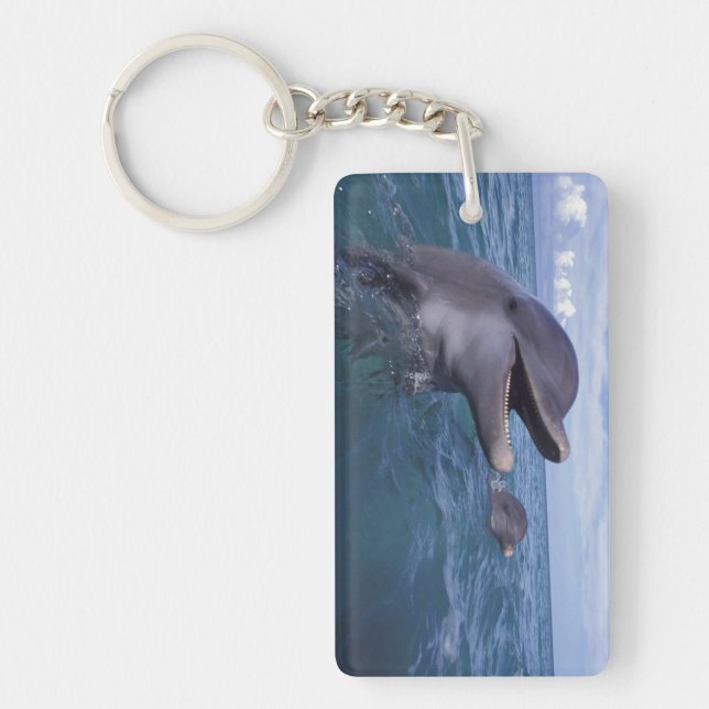 Porte-clefs Les Caraïbe, Tursiops 5 de dauphins de Bottlenose (Devant)