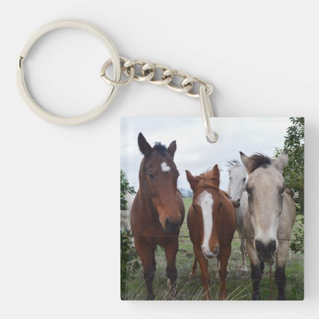 Porte-clefs Les Cheveux Frissés, Quatre Pals De Cheval, (Devant)