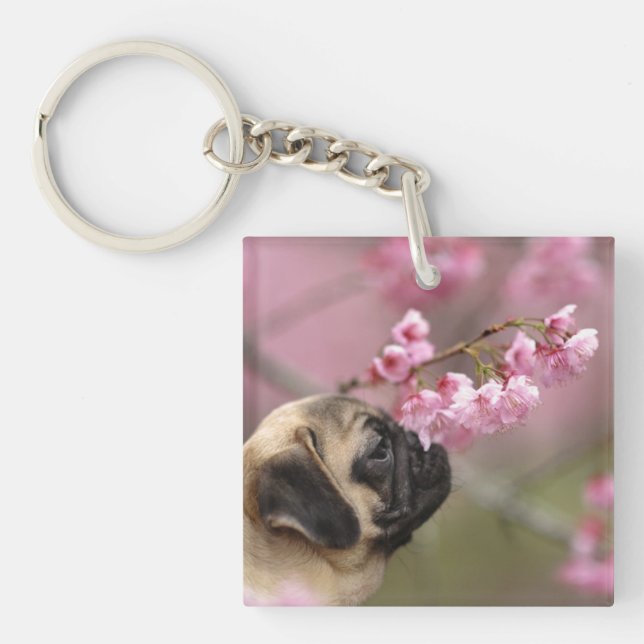 Porte-clefs Les fleurs de cerisiers d'Carlin (Devant)