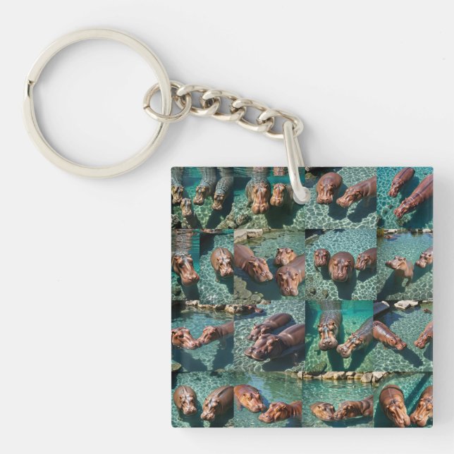 Porte-clefs Les hippopotames en jeu : Un paradis d'étang (Devant)