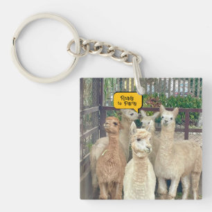 Porte-clefs Les lamas viennent du Pérou sur ce porte - clé