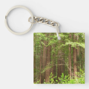 Porte-clefs Les séquoias au monument national de Muir Woods