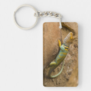 Porte-clefs Lézard à collerette