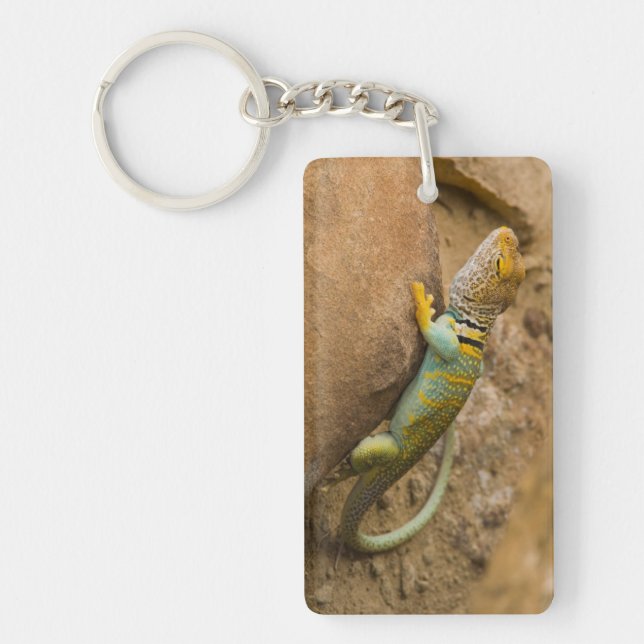 Porte-clefs Lézard à collerette (Devant)