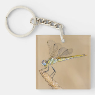 Porte-clefs Libellule Skimmer Femelle Insecte (CC BY 4.0) Keyc