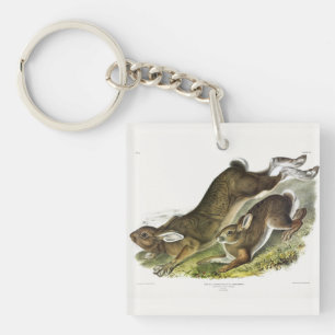 Porte-clefs Lièvre d'Amérique, été (lièvre du Nord) par Audubo