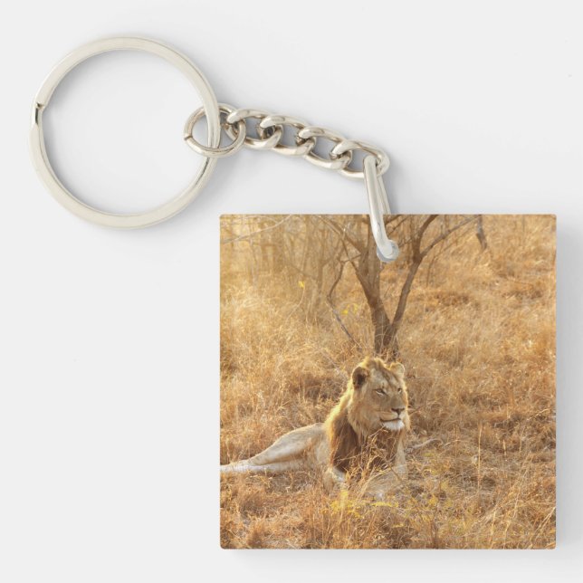 Porte-clefs Lion (Devant)