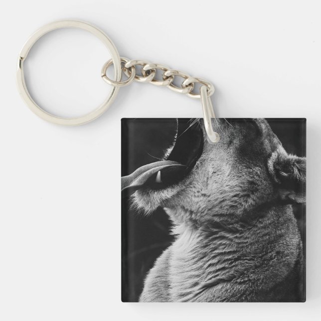 Porte-clefs lion (Devant)