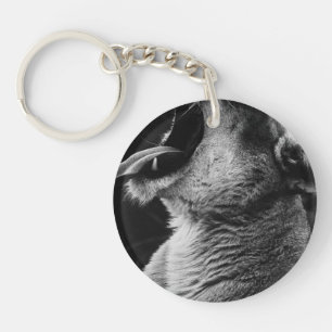 Porte-clefs lion