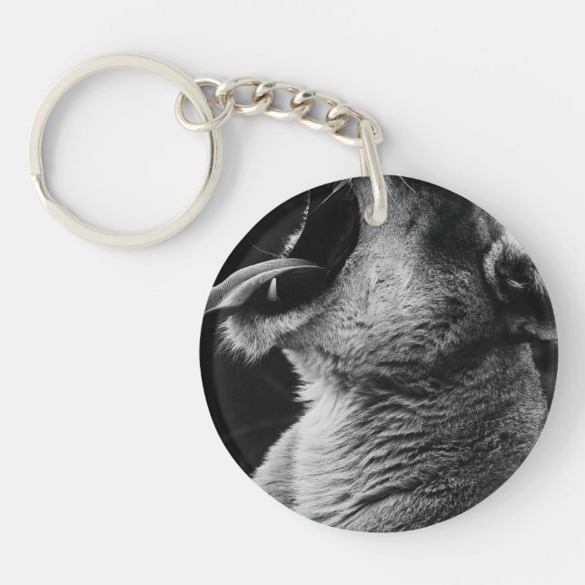 Porte-clefs lion (Devant)
