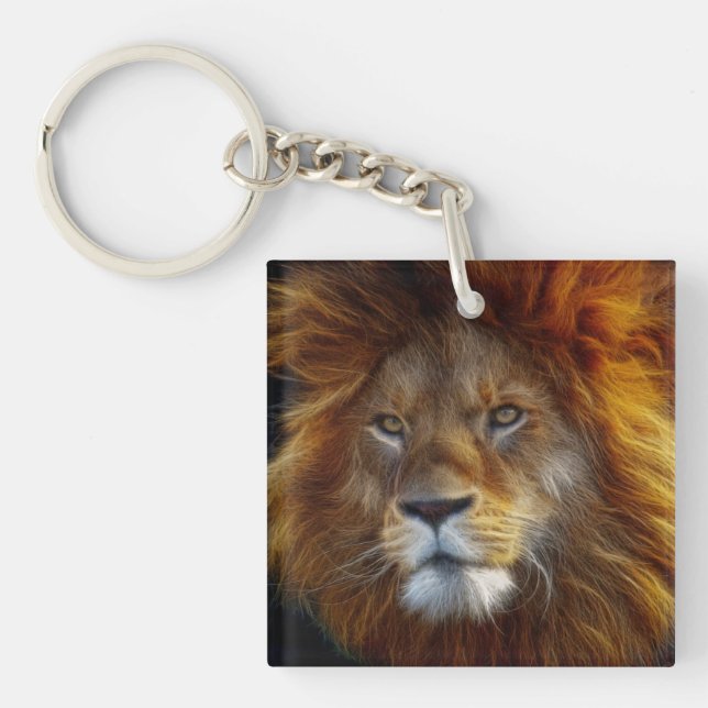 Porte-clefs Lion (Devant)