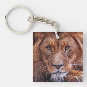 Porte-clefs Lion africain
