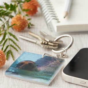 Porte-clefs Lion de mer de Californie