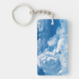 Porte-clefs Lion et agneau dans les nuages