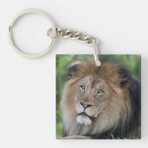 Porte-clefs Lion Lounging dans une forêt