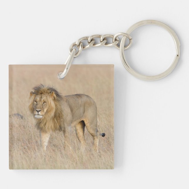 Porte-clefs Lion marche (Dos)