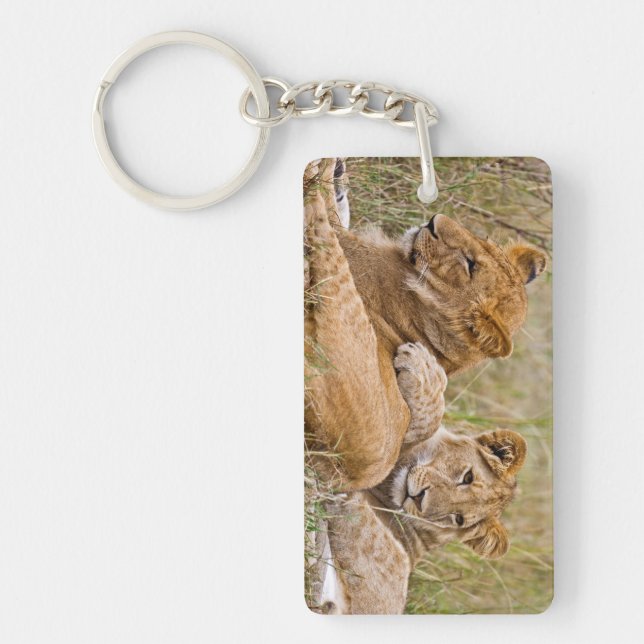 Porte-clefs Lionceaux se prélassant (Devant)