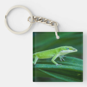 Porte-clefs Lizard d'Anole Verte