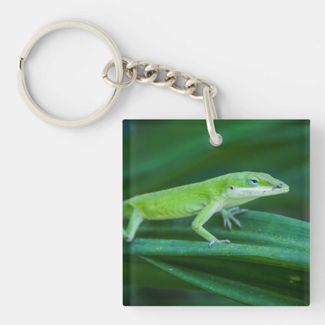 Porte-clefs Lizard d'Anole Verte (Devant)