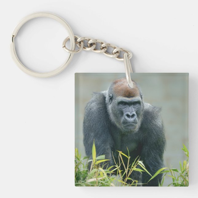Porte-clefs Lope de Gorilla Blackback (Devant)