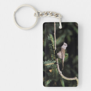 Porte-clefs Lophophane cristatus