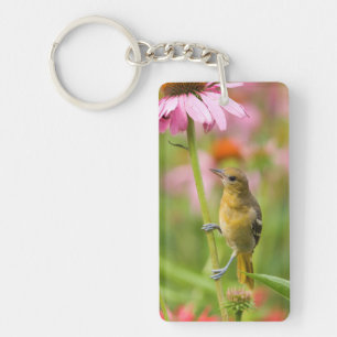 Porte-clefs Loriot de Baltimore