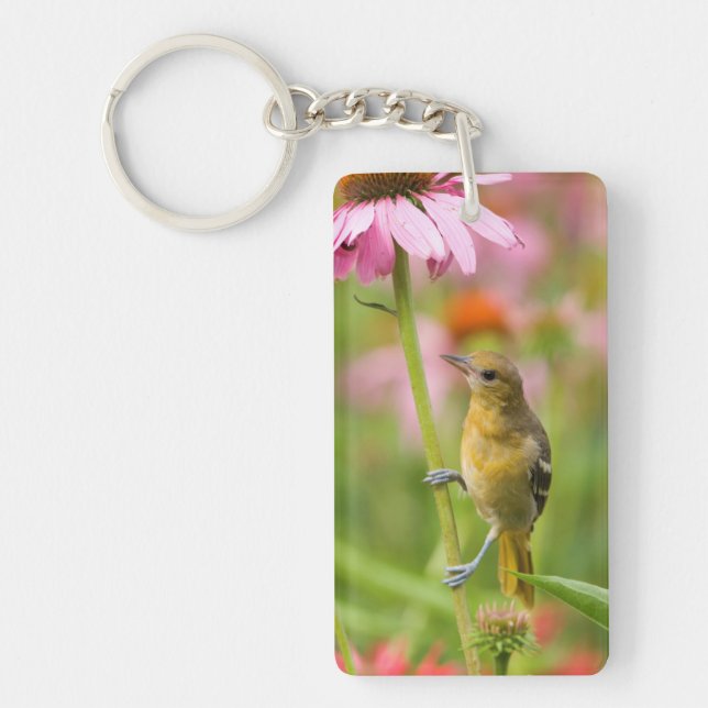 Porte-clefs Loriot de Baltimore (Devant)