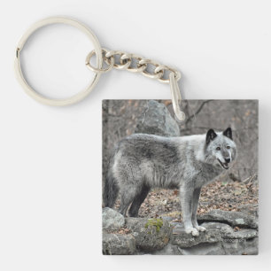 Porte-clefs Loup gris