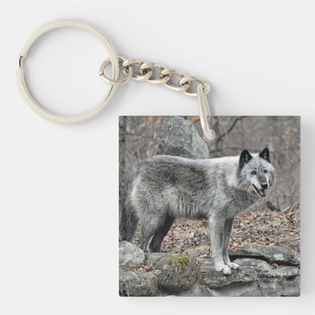 Porte-clefs Loup gris (Devant)