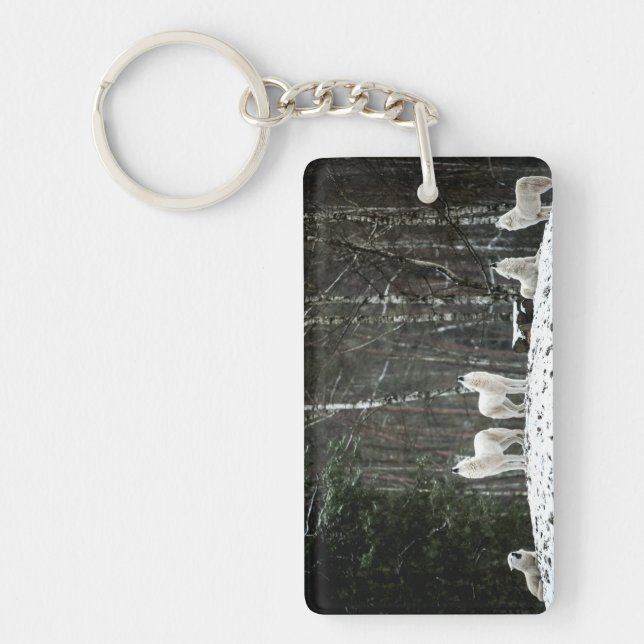 Porte-clefs Loup polaire sauvage (Devant)