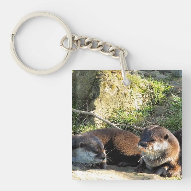 PORTE-CLEFS LOUTRES (Devant)