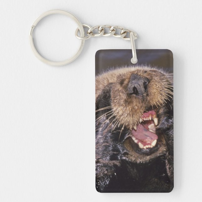Porte-clefs Loutres de mer, Enhydra lutris 6 (Devant)