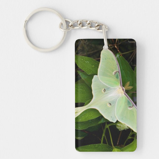 Porte-clefs Luna Moth on Carnaby Clematis (Devant)