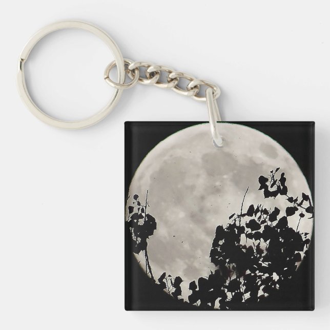 Porte-clefs Lune derrière feuilles sombres (Devant)