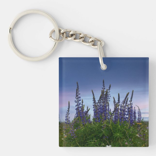 Porte-clefs Lupins (Devant)