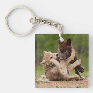 Porte-clefs Luttes de louveteaux gris