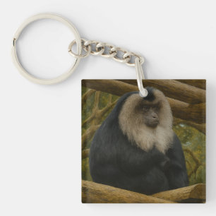 Porte-clefs Macaque à queue de lion dans le sanctuaire foresti