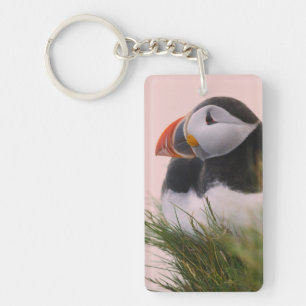 Porte-clefs Macareux atlantique (Fratercula arctica)