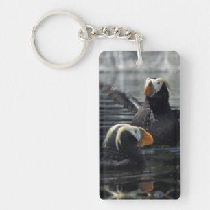 Porte-clefs Macareux huppés d'Alaska