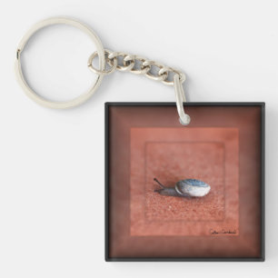 Porte-clefs Macro photographie d'un escargot sur de la terraco