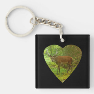 Porte-clefs Majestueux Cerf Prudente à Cornes Faune Puissante
