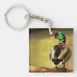 Porte-clefs Mallard Duck