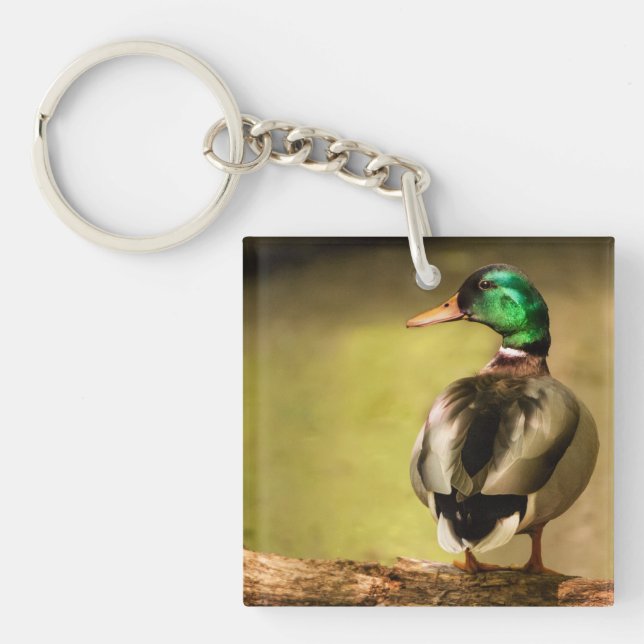 Porte-clefs Mallard Duck (Devant)