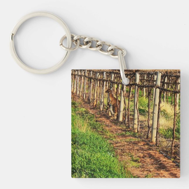 Porte-clefs Maman Et Bébé Kangourou Australien, (Devant)