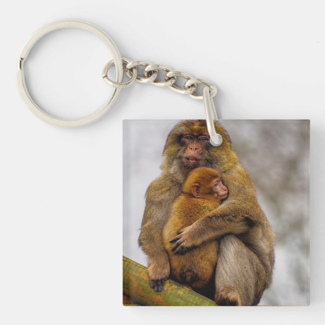 Porte-clefs Maman macaque barbare et bébé (Devant)