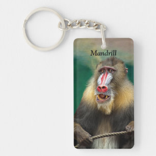 Porte-clefs Mandrill, Ape africaine