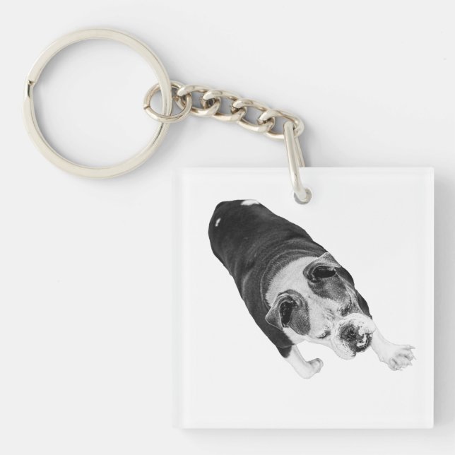 Porte-clefs Marche d'action Chien Encourage Chaque Trajet de V (Devant)