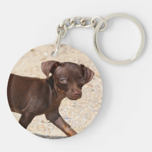 Porte-clefs Marche de chiot de chiwawa